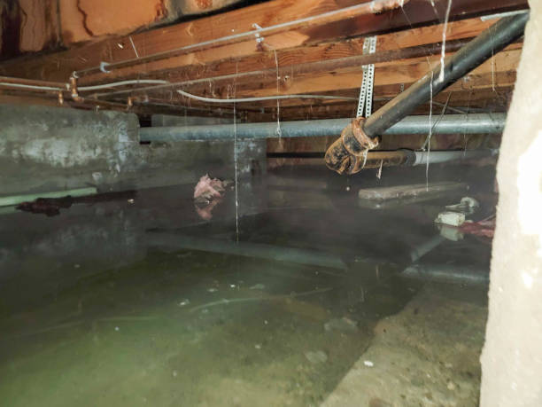 Best Residential Water Damage Restoration in Le Center, MN