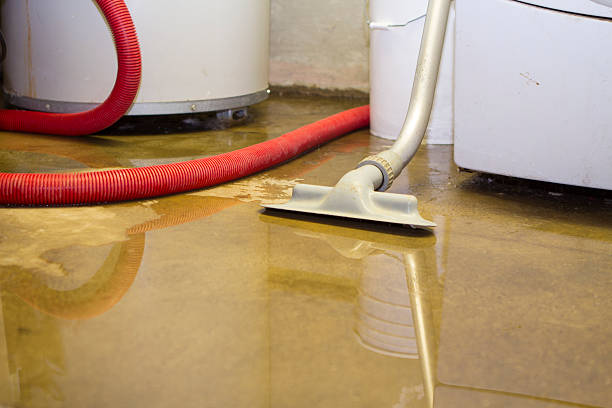 Best Emergency Water Extraction Services in Le Center, MN